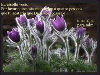 Eu escolhi você.  Por favor passe esta mensagem à quatro pessoas que tu gostaria que Deus abençoasse e   uma cópia para mim. 