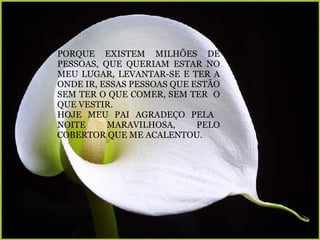 PORQUE EXISTEM MILHÕES DE PESSOAS, QUE QUERIAM ESTAR NO MEU LUGAR, LEVANTAR-SE E TER A ONDE IR, ESSAS PESSOAS QUE ESTÃO SEM TER O QUE COMER, SEM TER  O QUE VESTIR.  HOJE MEU PAI AGRADEÇO PELA  NOITE MARAVILHOSA, PELO COBERTOR QUE ME ACALENTOU.   