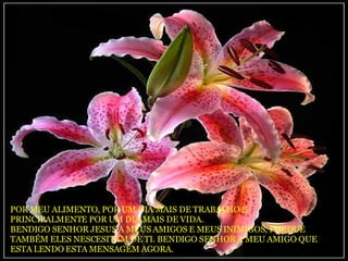 POR MEU ALIMENTO, POR UM DIA MAIS DE TRABALHO E  PRINCIPALMENTE POR UM DIA MAIS DE VIDA.  BENDIGO SENHOR JESUS A MEUS AMIGOS E MEUS INIMIGOS, PORQUE TAMBÉM ELES NESCESITAM DE TI. BENDIGO SENHOR A MEU AMIGO QUE ESTA LENDO ESTA MENSAGEM AGORA.  