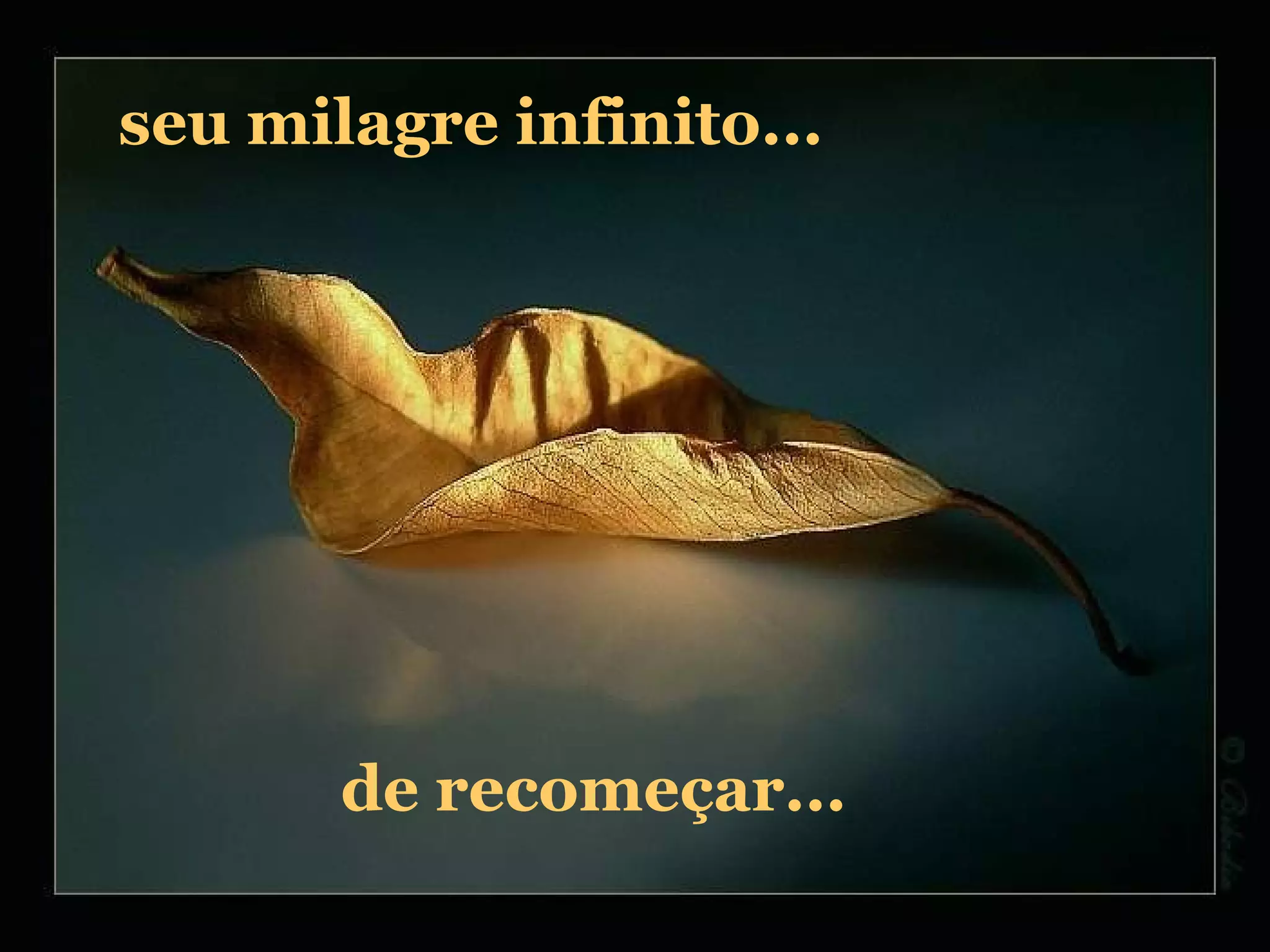 seu milagre infinito... de recomeçar... 