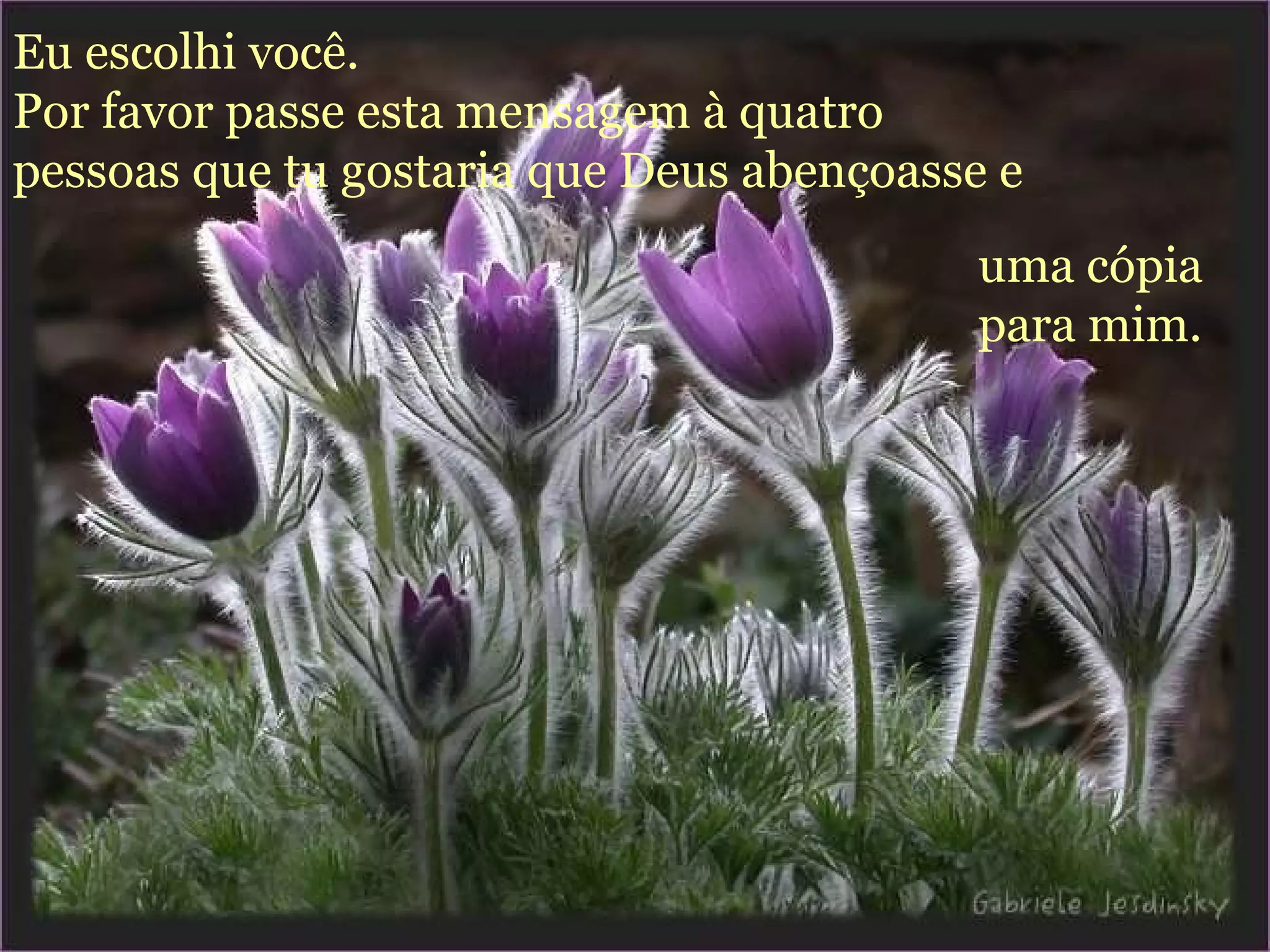 Eu escolhi você.  Por favor passe esta mensagem à quatro pessoas que tu gostaria que Deus abençoasse e   uma cópia para mim. 
