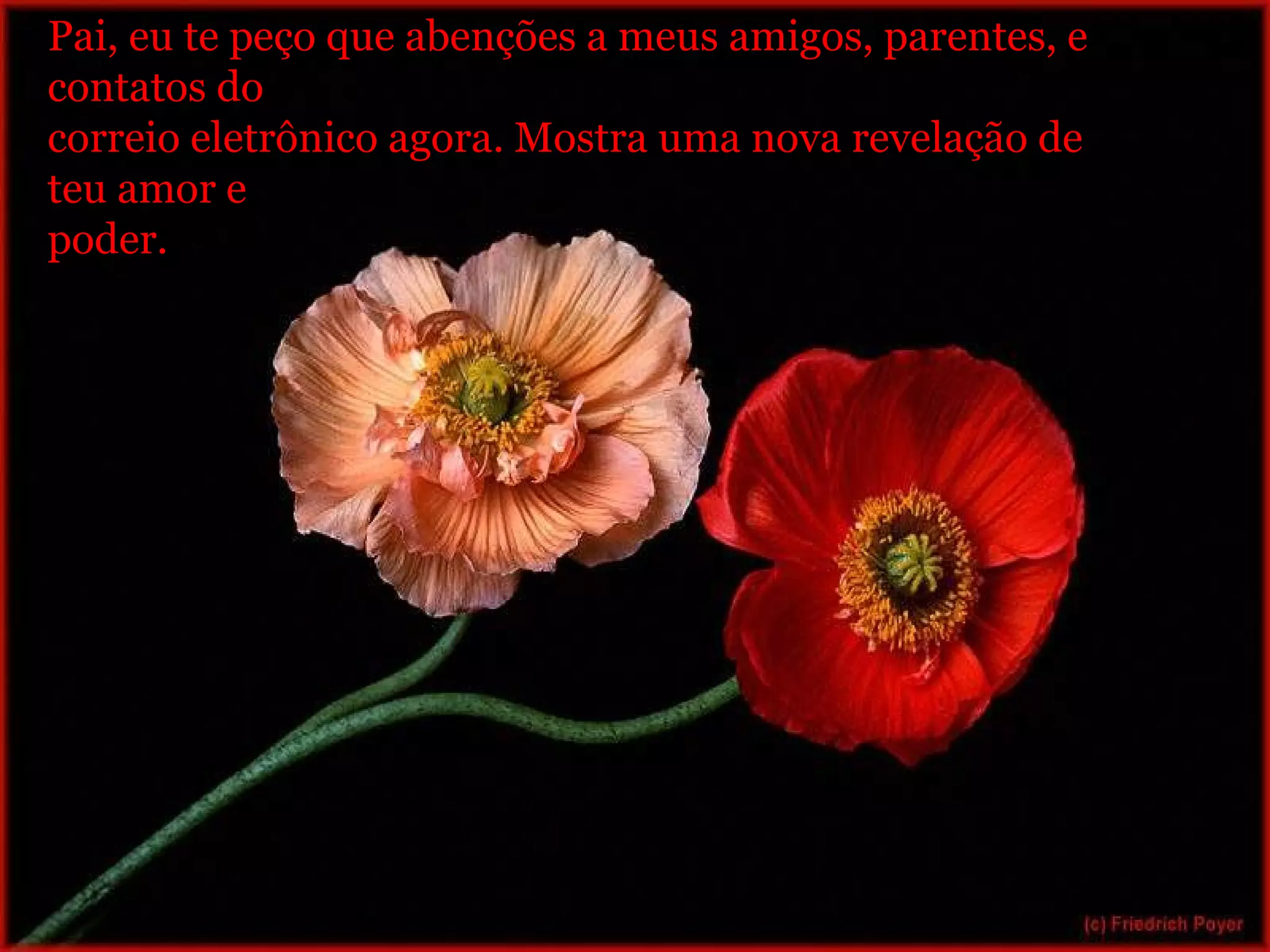 Pai, eu te peço que abenções a meus amigos, parentes, e  contatos do correio eletrônico agora. Mostra uma nova revelação de  teu amor e poder. 