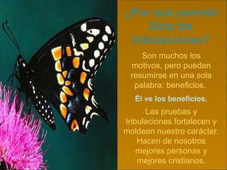 ¿ Por qu é  permite Dios las tribulaciones? Son muchos los motivos, pero pueden resumirse en una sola palabra: beneficios.  Las pruebas y tribulaciones fortalecen y moldean nuestro carácter. Hacen de nosotros mejores personas y mejores cristianos. É l ve los beneficios. 