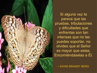 Si alguna vez te parece que las pruebas, tribulaciones y dificultades que enfrentas son tan intensas que no las puedes soportar, no olvides que el Señor es mayor que estas. Encomiéndaselas a  É l. -- DAVID BRANDT BERG 