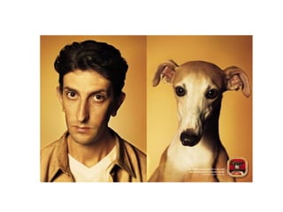 Cada qual com seu tal