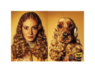 Cada qual com seu tal