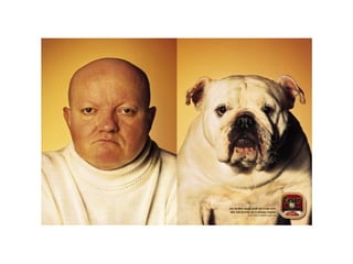 Cada qual com seu tal