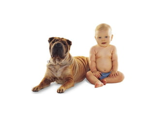 Cada qual com seu tal