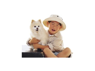 Cada qual com seu tal