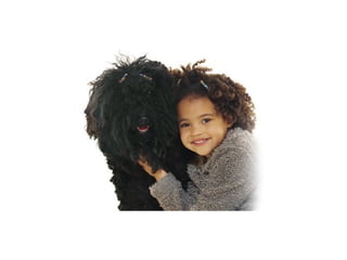 Cada qual com seu tal