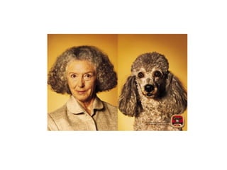 Cada qual com seu tal