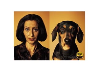 Cada qual com seu tal