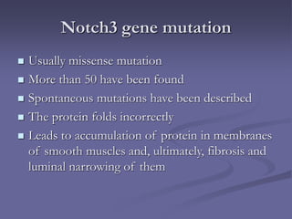 Notch3 gene mutation
 Usually missense mutation
 More than 50 have been found
 Spontaneous mutations have been described
 The protein folds incorrectly
 Leads to accumulation of protein in membranes
of smooth muscles and, ultimately, fibrosis and
luminal narrowing of them
 