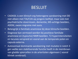 CADASIL - Dr. D. Peeters | PPTX