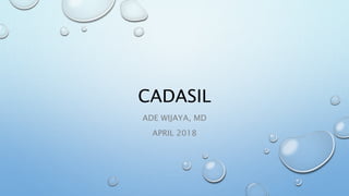 CADASIL
ADE WIJAYA, MD
APRIL 2018
 