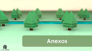 Anexos

 