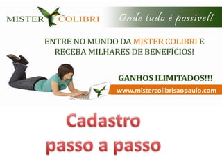 www.mistercolibrisaopaulo.com
 