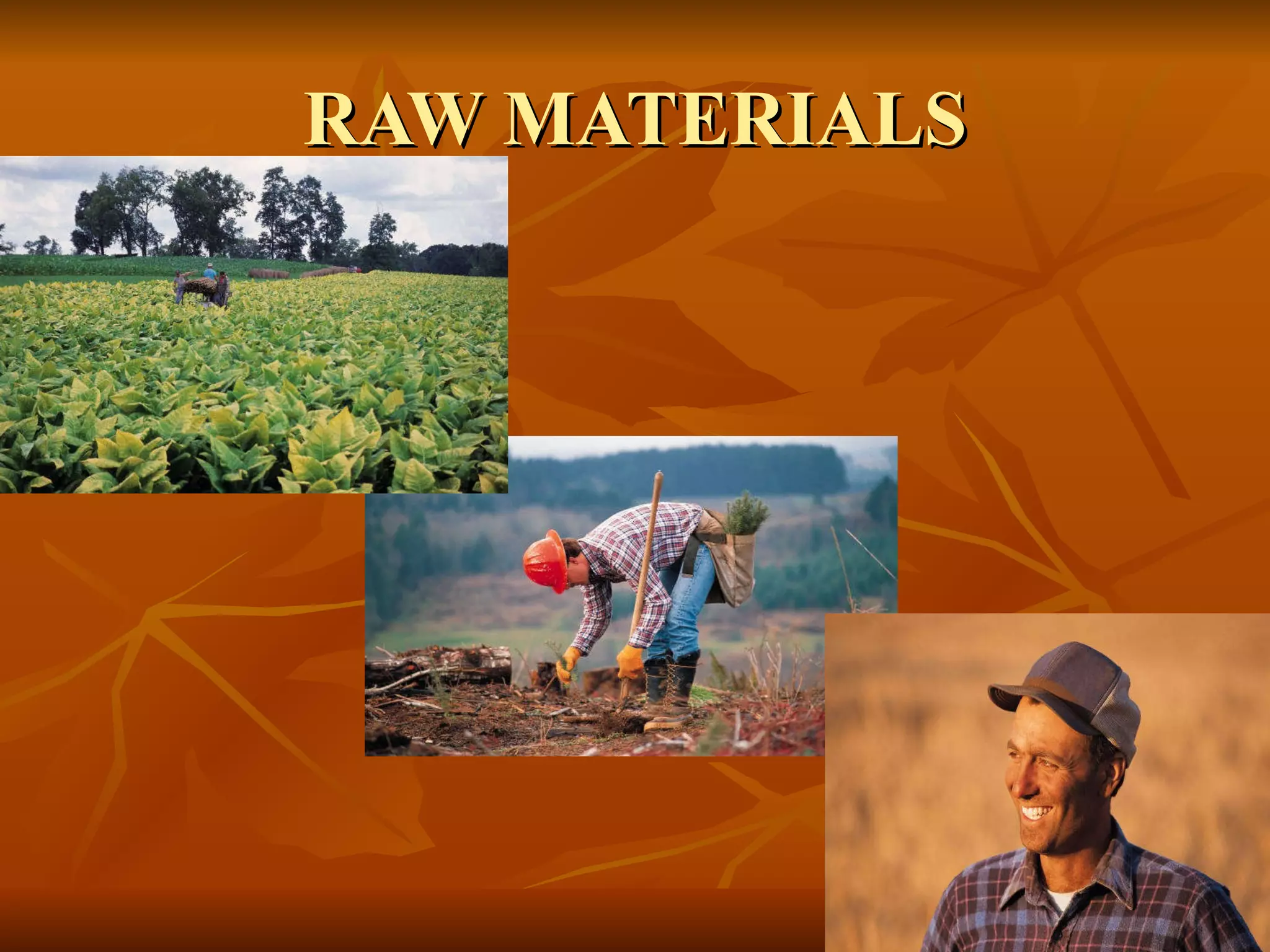 RAW MATERIALS 