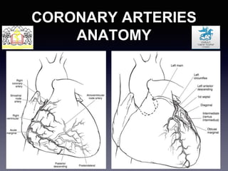 CORONARY ARTERIES
ANATOMY
 
