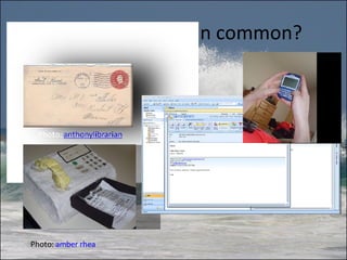 What do all have in common? Photo:  amber rhea 
