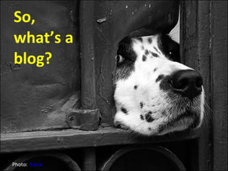 So,  what’s a blog? Photo:  Kazze 