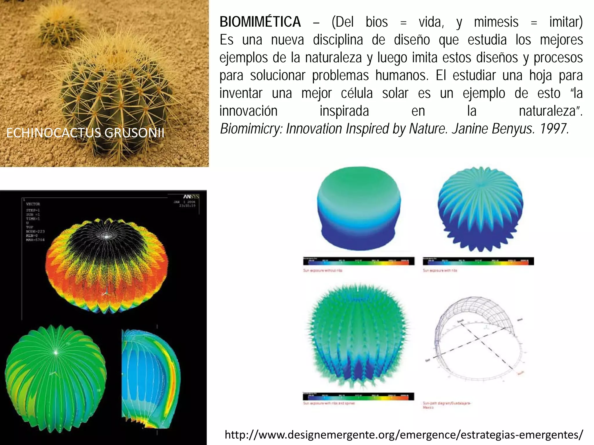 BIOMIMÉTICA – (Del bios = vida, y mimesis = imitar)
                        Es una nueva disciplina de diseño que estudia los mejores
                        ejemplos de la naturaleza y luego imita estos diseños y procesos
                        para solucionar problemas humanos. El estudiar una hoja para
                        inventar una mejor célula solar es un ejemplo de esto “la
                        innovación        inspirada        en        la       naturaleza”.
ECHINOCACTUS GRUSONII   Biomimicry: Innovation Inspired by Nature. Janine Benyus. 1997.




                        http://www.designemergente.org/emergence/estrategias­emergentes/
 