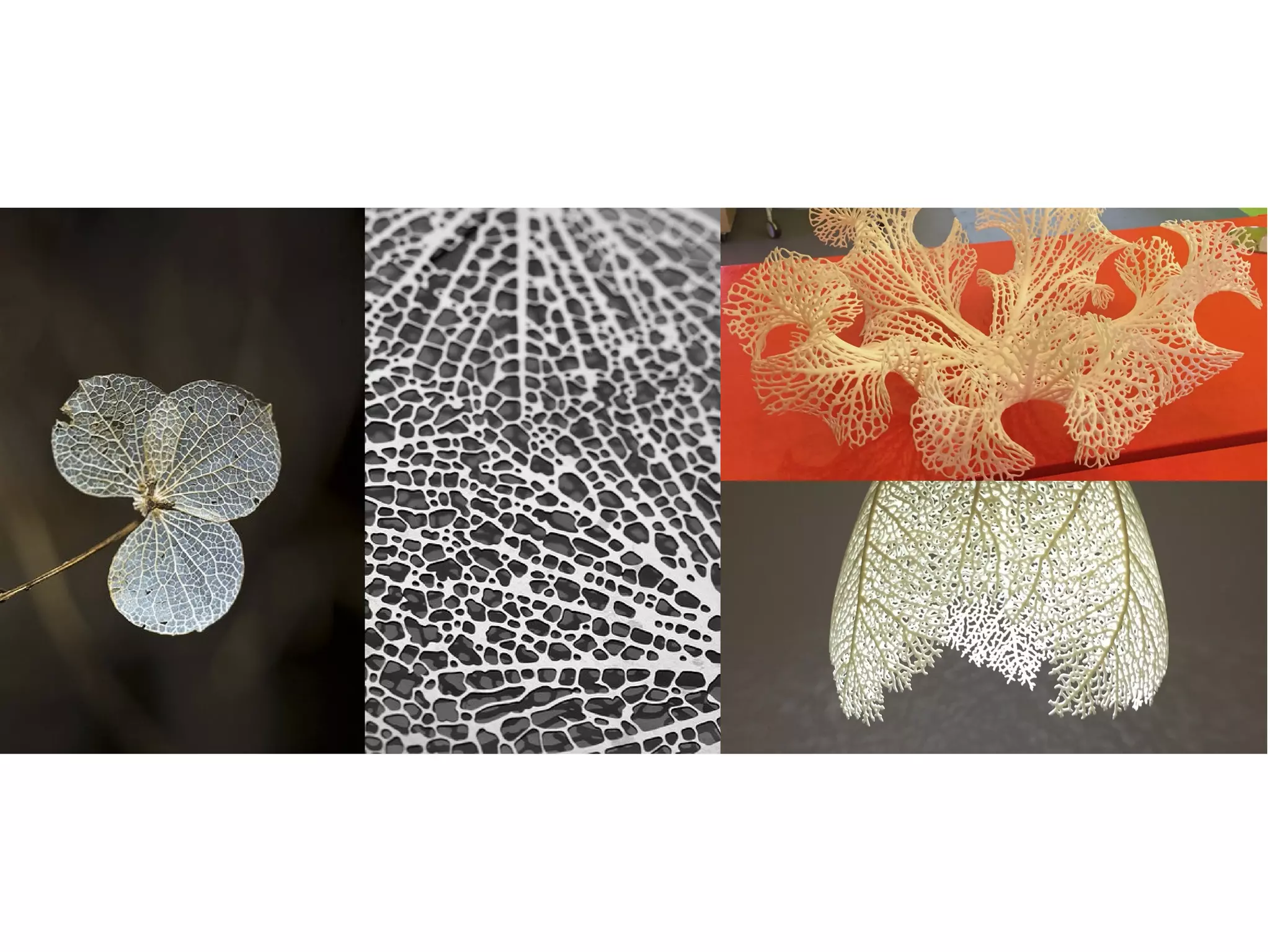 Nervous system
http://n-e-r-v-o-u-s.com/
 