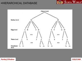 Pankaj Chhabra CAD/CAM
HIERARCHICAL DATABASE
 