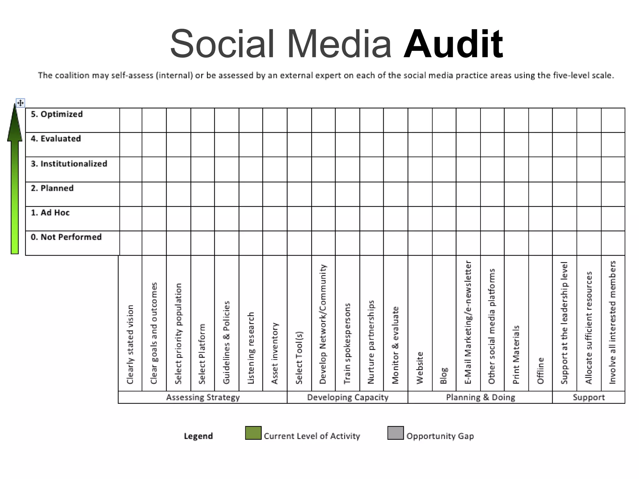 Social Media Audit