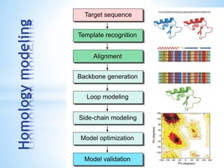 Homologymodeling
 