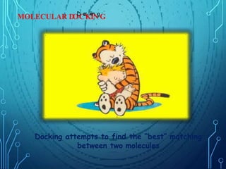 Docking attempts to find the “best” matching
between two molecules
MOLECULAR D
O
D
C
o
c
K
k
i
I
n
N
g
G
 