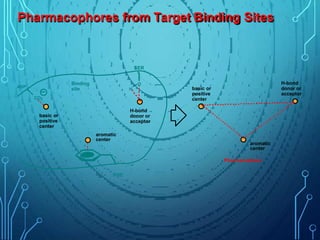 Pharmacophores from Target Binding Sites
H-bond
donor or
acceptor
aromatic
center
basic or
positive
center
H-bond
donor or
acceptor
aromatic
center
basic or
positive
center
Pharmacophore
O
H
CO2
ASP
SER
PHE
Binding
site
 