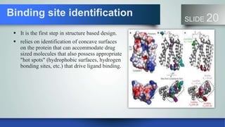 Binding site identification
SLIDE 20
 It is the first step in structure based design.
 relies on identification of concave surfaces
on the protein that can accommodate drug
sized molecules that also possess appropriate
"hot spots" (hydrophobic surfaces, hydrogen
bonding sites, etc.) that drive ligand binding.
 