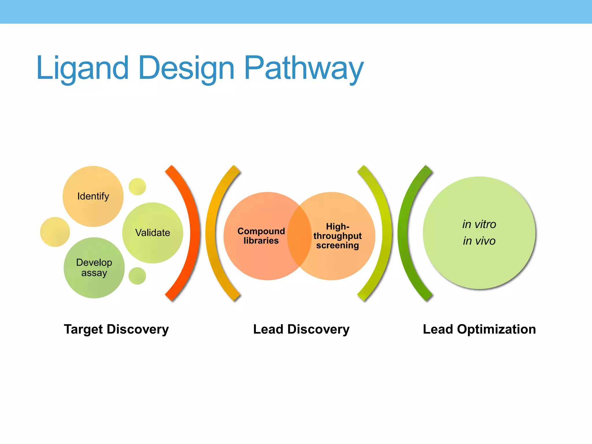 Ligand Design Pathway


   Identify


                                         High-          in vitro
              Validate   Compound
                                      throughput
                          libraries
                                       screening        in vivo
  Develop
   assay




 Target Discovery           Lead Discovery         Lead Optimization
 
