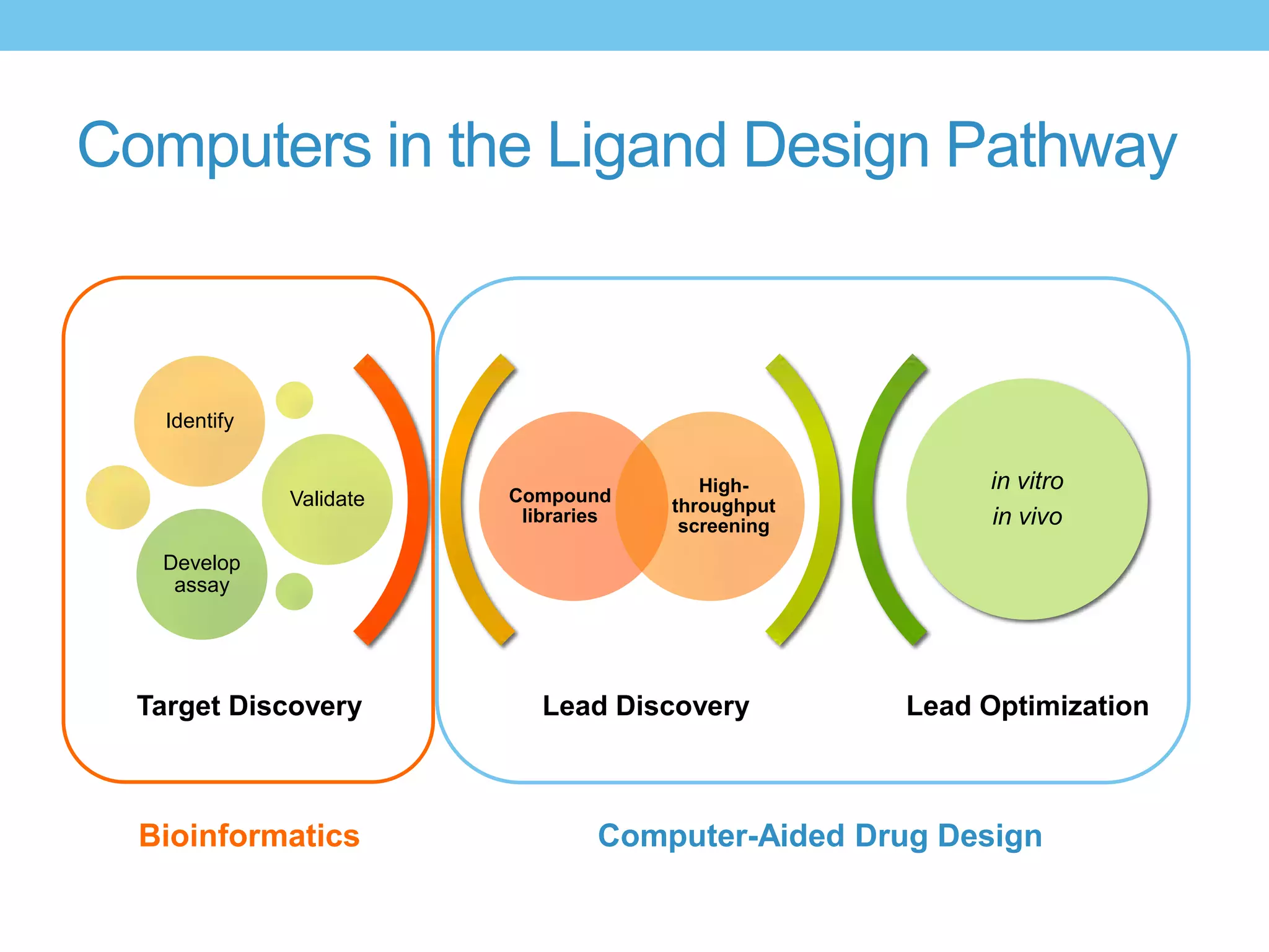 Computers in the Ligand Design Pathway



    Identify


                                          High-          in vitro
               Validate   Compound
                                       throughput
                           libraries
                                        screening        in vivo
   Develop
    assay




  Target Discovery           Lead Discovery         Lead Optimization



  Bioinformatics                  Computer-Aided Drug Design
 