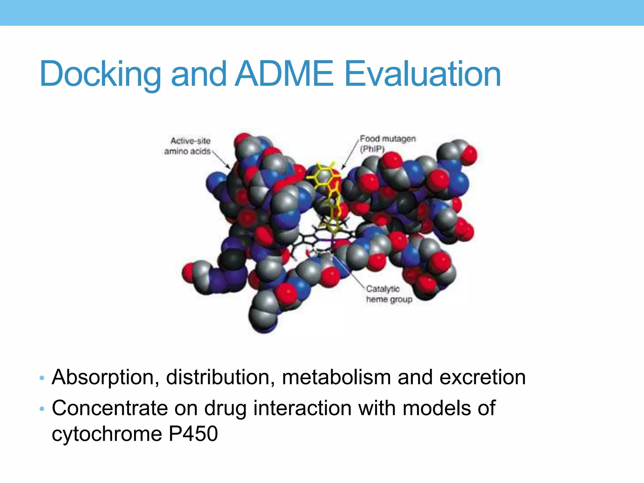 Docking and ADME Evaluation




• Absorption, distribution, metabolism and excretion
• Concentrate on drug interaction with models of
 cytochrome P450
 