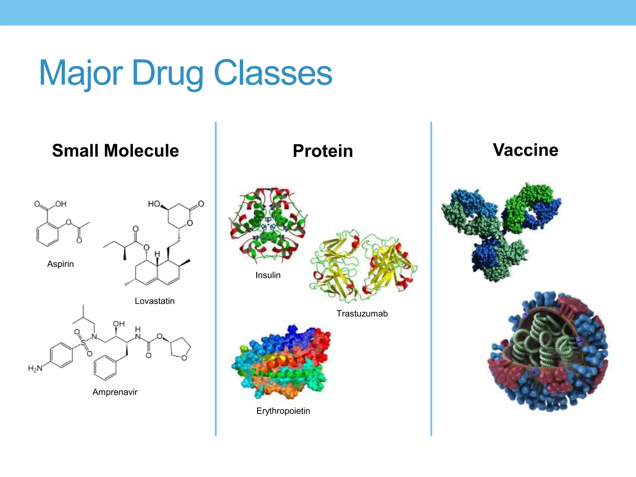 Major Drug Classes

 Small Molecule                           Protein              Vaccine




Aspirin
                                Insulin

                   Lovastatin
                                                 Trastuzumab




          Amprenavir

                                Erythropoietin
 
