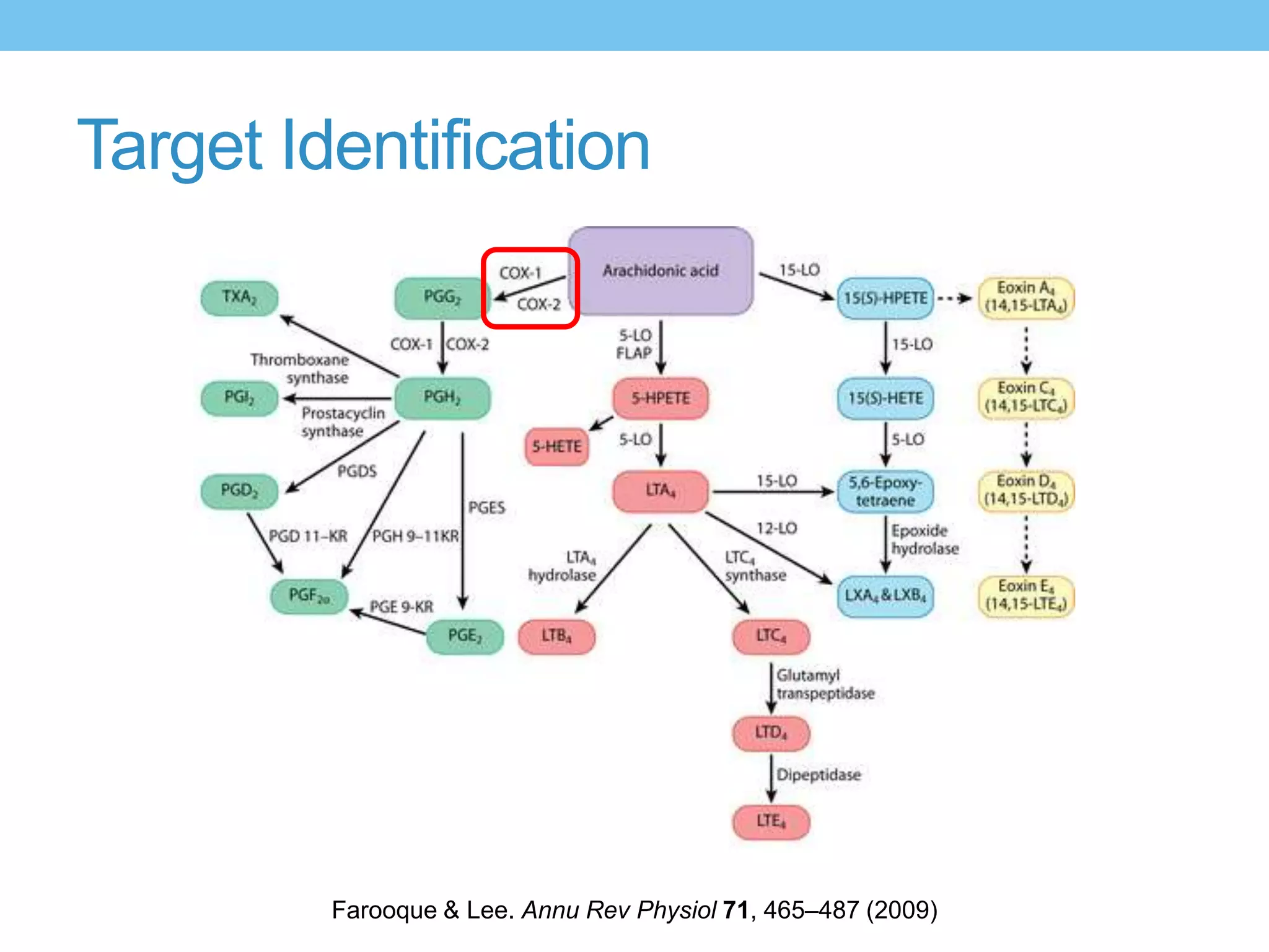 Target Identification




         Farooque & Lee. Annu Rev Physiol 71, 465–487 (2009)
 