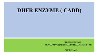 DHFR ENZYME ( CADD)
BY: MANSI PANWAR
M.PHARMACY(PHARMACEUTICAL CHEMISTRY)
PUP PATIALA
 