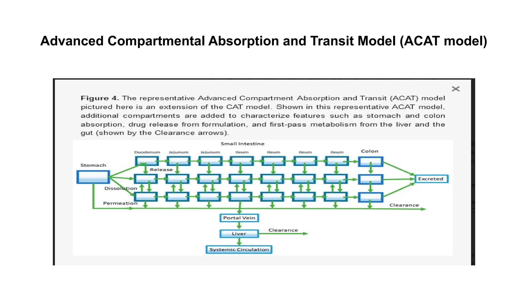 Advanced Compartmental Absorption and Transit Model (ACAT model)
 