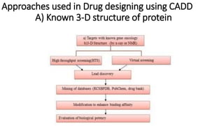 CADD by Dr. Rajan swami | PPTX