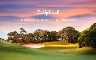 On-demand ordering and delivery within resorts
 