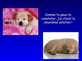 Comme tu peux le constater, j’ai choisi la deuxième solution ! 