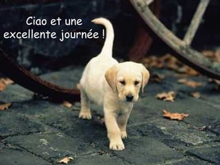 Ciao et une excellente journée ! 
