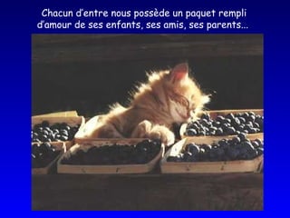 Chacun d’entre nous possède un paquet rempli d’amour de ses enfants, ses amis, ses parents... 