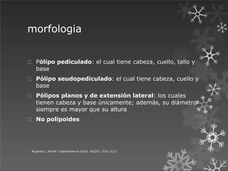 morfologia
Bujanda L, World J Gastroenterol 2010; 16(25): 3101-3111
Pólipo pediculado: el cual tiene cabeza, cuello, tallo y
base
Pólipo seudopediculado: el cual tiene cabeza, cuello y
base
Pólipos planos y de extensión lateral: los cuales
tienen cabeza y base únicamente; además, su diámetro
siempre es mayor que su altura
No polipoides
 
