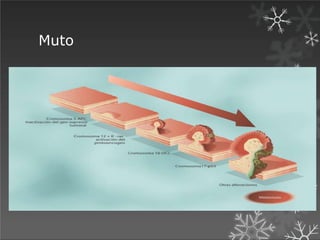 Muto
 