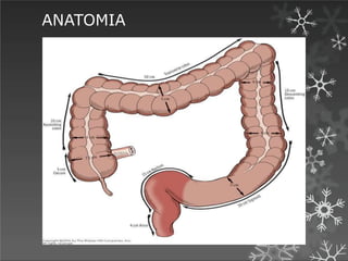 ANATOMIA
American Cancer Society; 2012
 