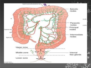 Ame can Cancer Societ ; 2 12
 