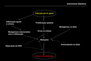 Carcinoma Gástrico



                            Infecção por H. pylori



Inflamação aguda
                            Proliferação epitelial
e crónica
                                                     Mutagénios na dieta

                              Erros na mitose
  Mutagéneos relacionados
  com a inflamação


                                  Mutações

                                                      Antioxidantes na dieta
Reparação do DNA




                            Cancro do estômago
 